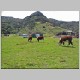 Waitakere Ranges 085.jpg